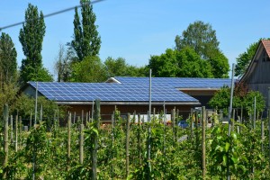 Abbatti il costo energetico della tua azienda agricola tramite il solare fotovoltaico